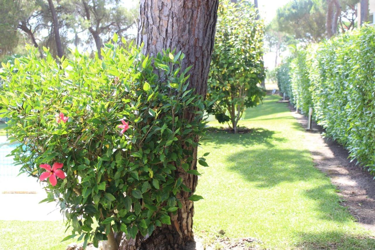 The Pinewood Villa Βιλαμούρα Εξωτερικό φωτογραφία