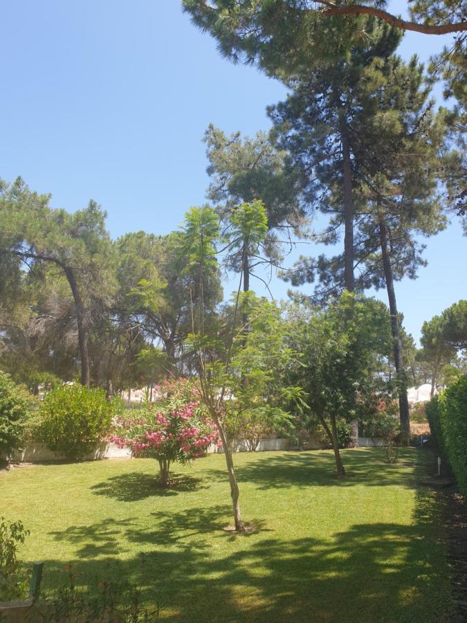 The Pinewood Villa Βιλαμούρα Εξωτερικό φωτογραφία