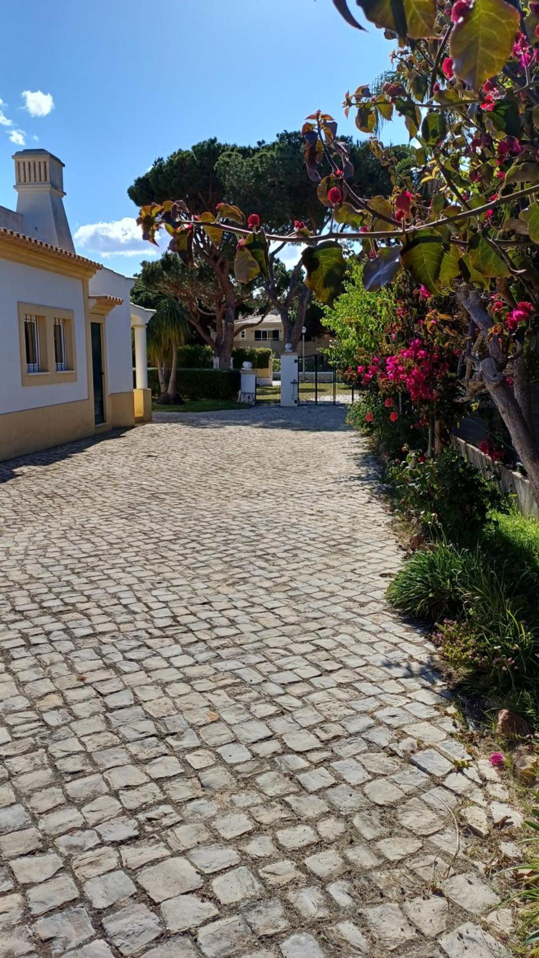 The Pinewood Villa Βιλαμούρα Εξωτερικό φωτογραφία