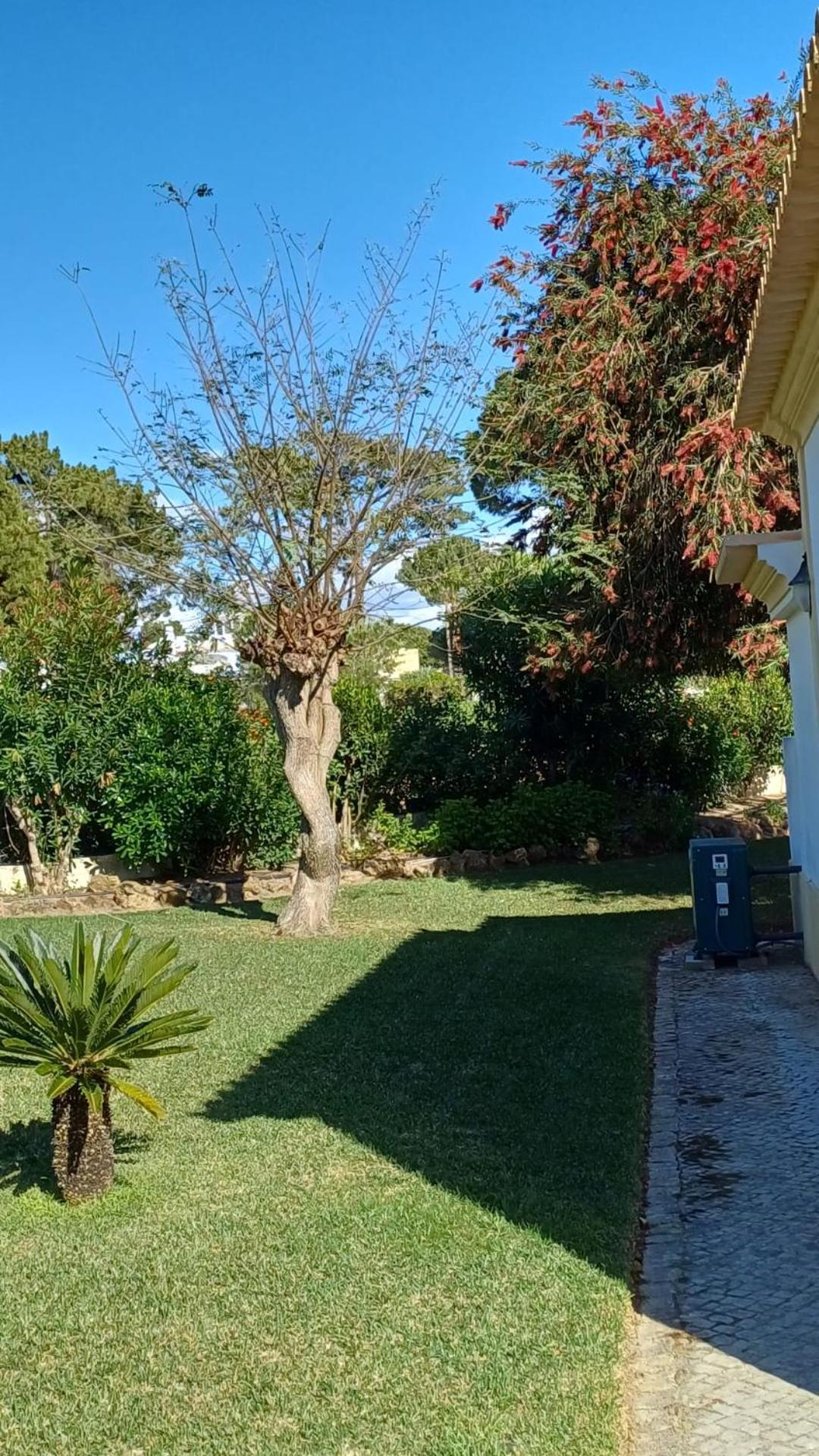 The Pinewood Villa Βιλαμούρα Εξωτερικό φωτογραφία