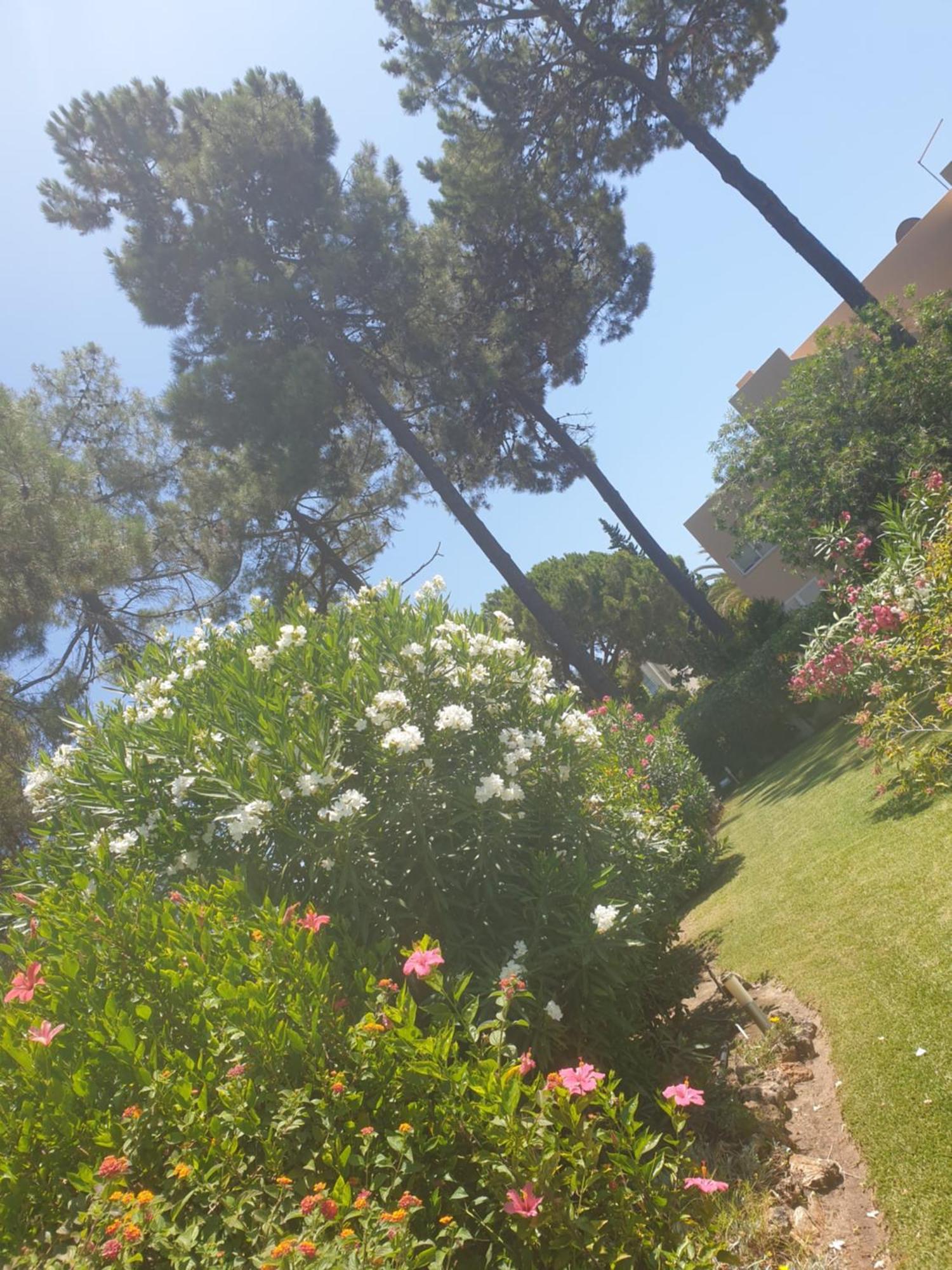 The Pinewood Villa Βιλαμούρα Δωμάτιο φωτογραφία
